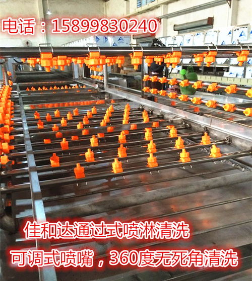 食品周轉箱清洗機與膠箱自動噴淋清洗機 珠三角廠家直銷的高效解決方案